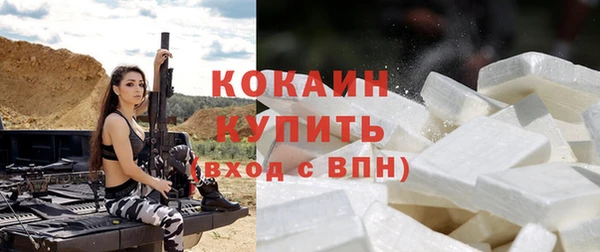ГАЛЛЮЦИНОГЕННЫЕ ГРИБЫ Богданович