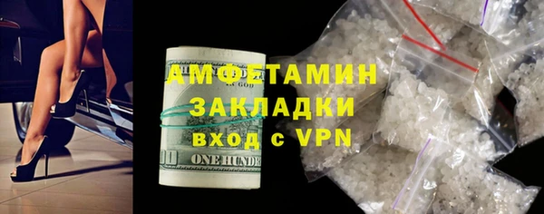 ГАЛЛЮЦИНОГЕННЫЕ ГРИБЫ Богданович