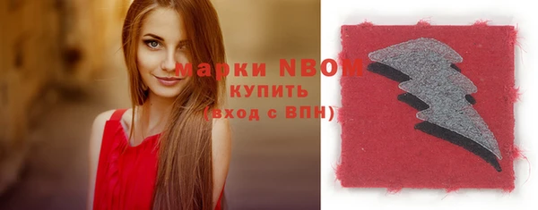 ГАЛЛЮЦИНОГЕННЫЕ ГРИБЫ Богданович