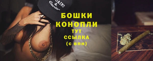 ГАЛЛЮЦИНОГЕННЫЕ ГРИБЫ Богданович