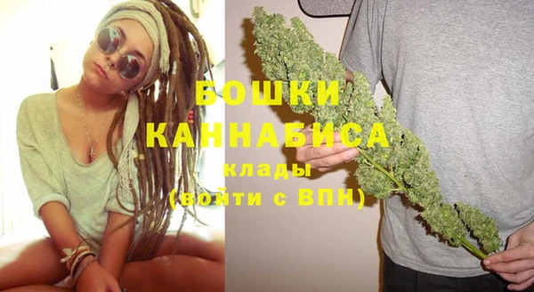 mix Богородицк