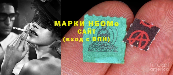 шишки Белоозёрский