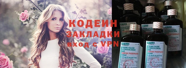 ГАЛЛЮЦИНОГЕННЫЕ ГРИБЫ Богданович