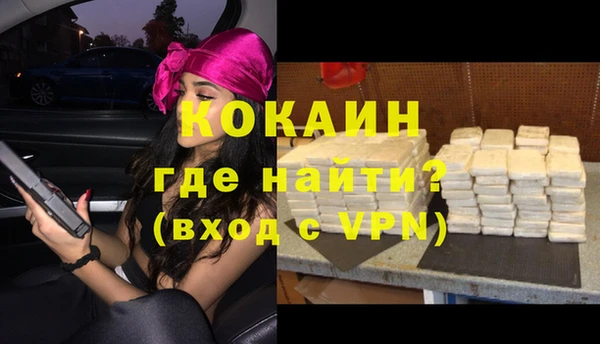 ГАЛЛЮЦИНОГЕННЫЕ ГРИБЫ Богданович