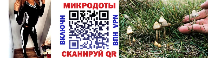 даркнет сайт  Богородск  Галлюциногенные грибы ЛСД 
