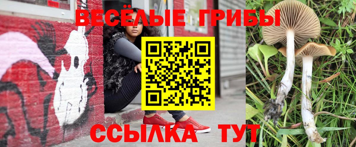 Богородск  Галлюциногенные грибы Psilocybine cubensis  Вход с VPN 