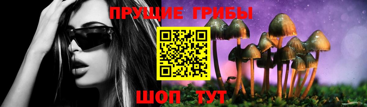 Псилоцибиновые грибы ЛСД Богородск